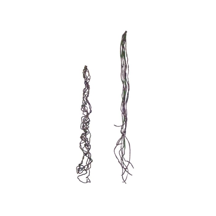 RADICE 68 CM. 2 ASSORTITI